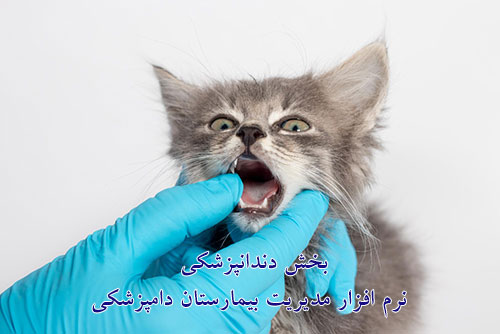 بخش دندانپزشکی نرم افزار دامپزشکی